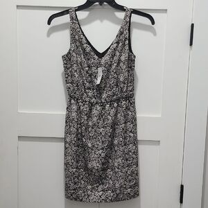 Loft Black and Cream Cute Dress NWT